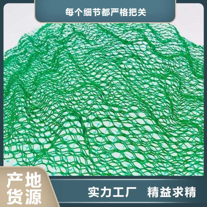 三维护坡植被网垫#护坡EM4