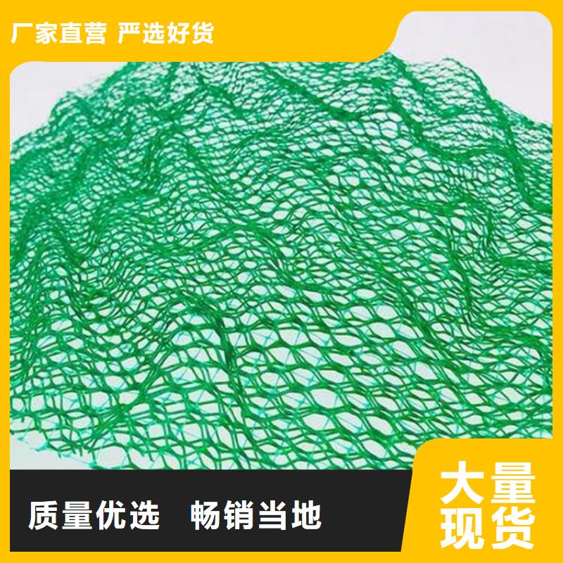 三维护坡加筋网垫#EM2固土