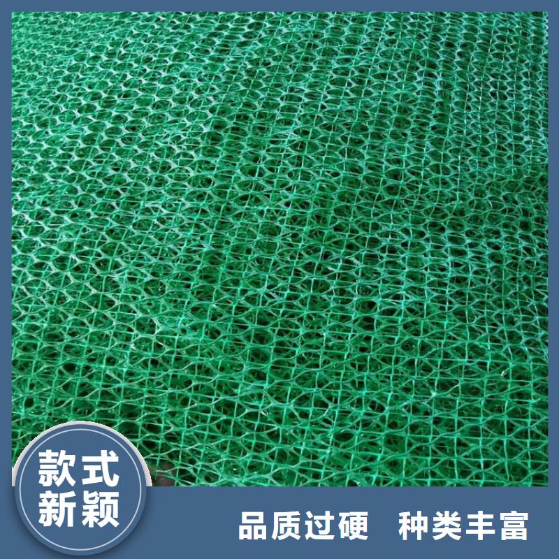 三维土工网垫代理/哪里有卖的