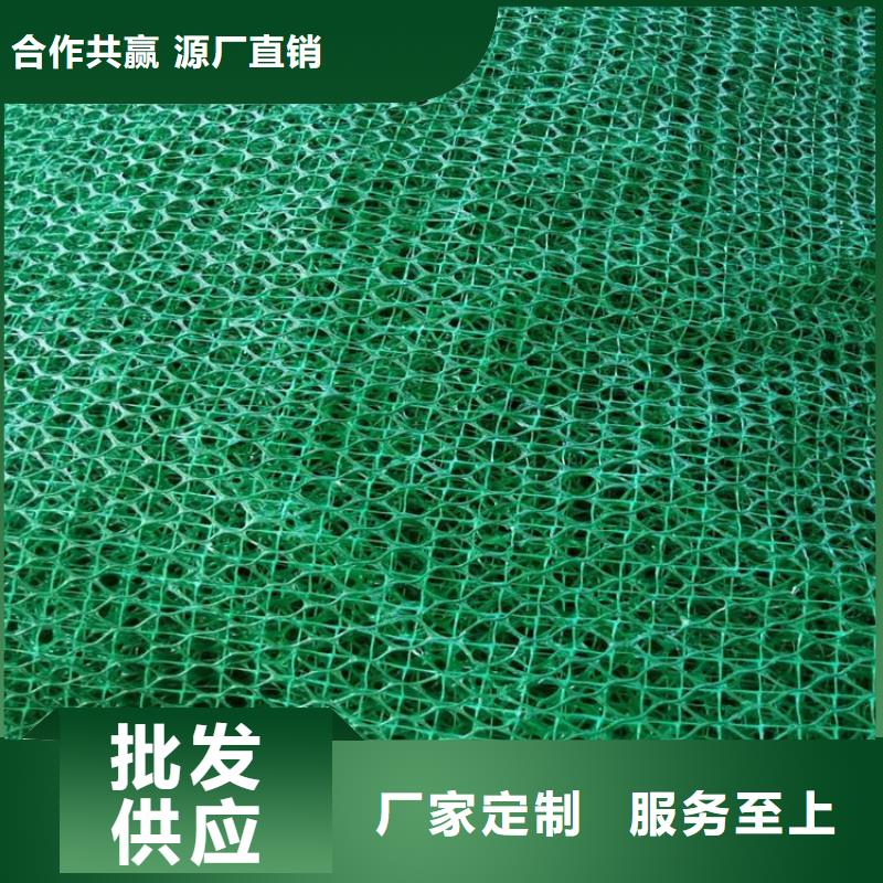 三维护坡植草网垫特点性能