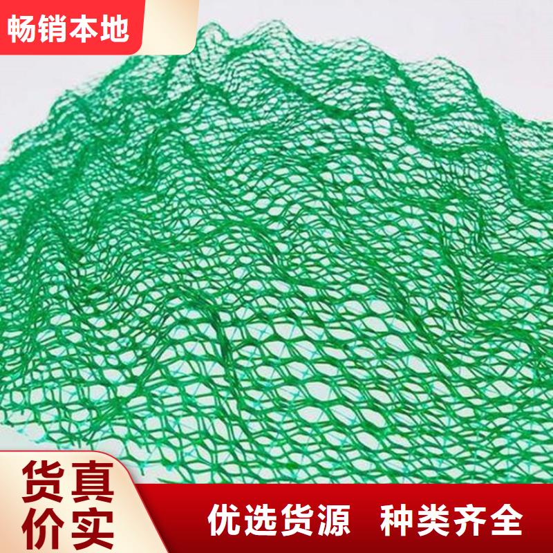 三维植被网HDPE土工膜重信誉厂家