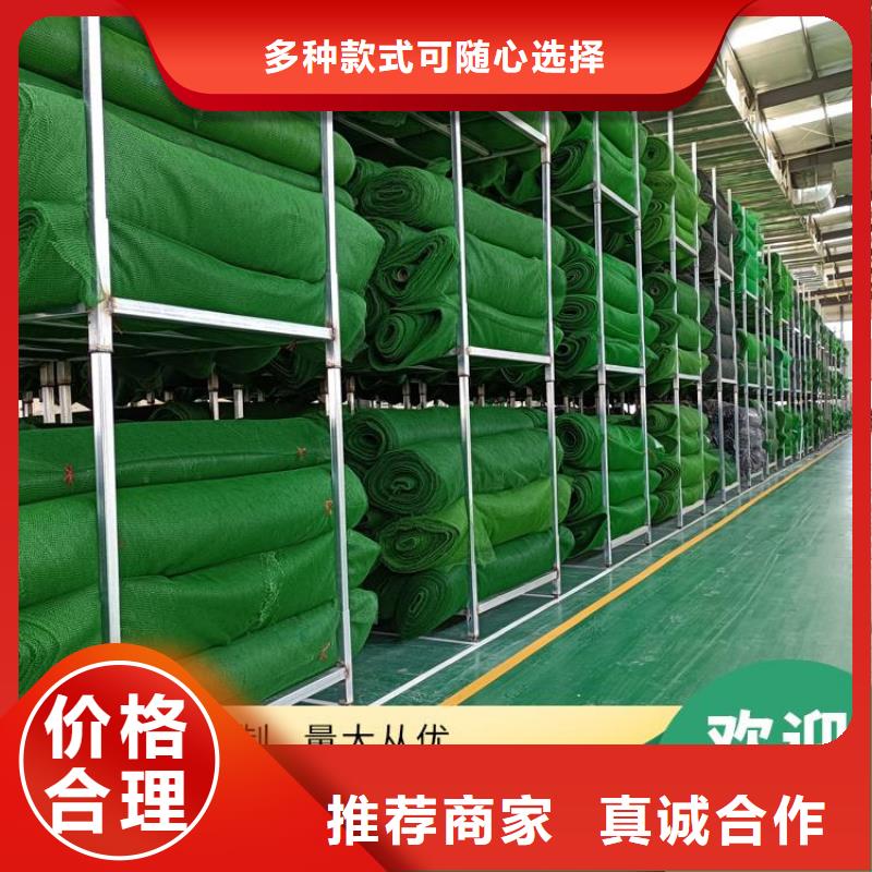 环保绿化三维植被网