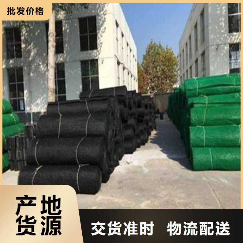 三维固土网垫规范施工