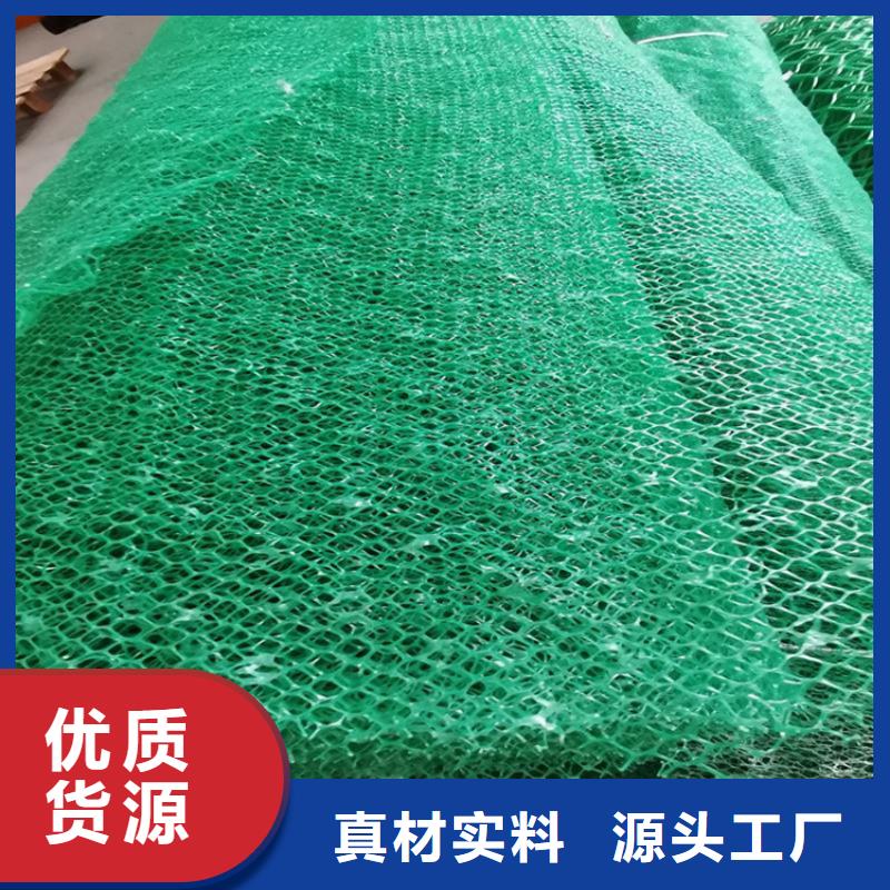 三维土工网垫代理/哪里有卖的