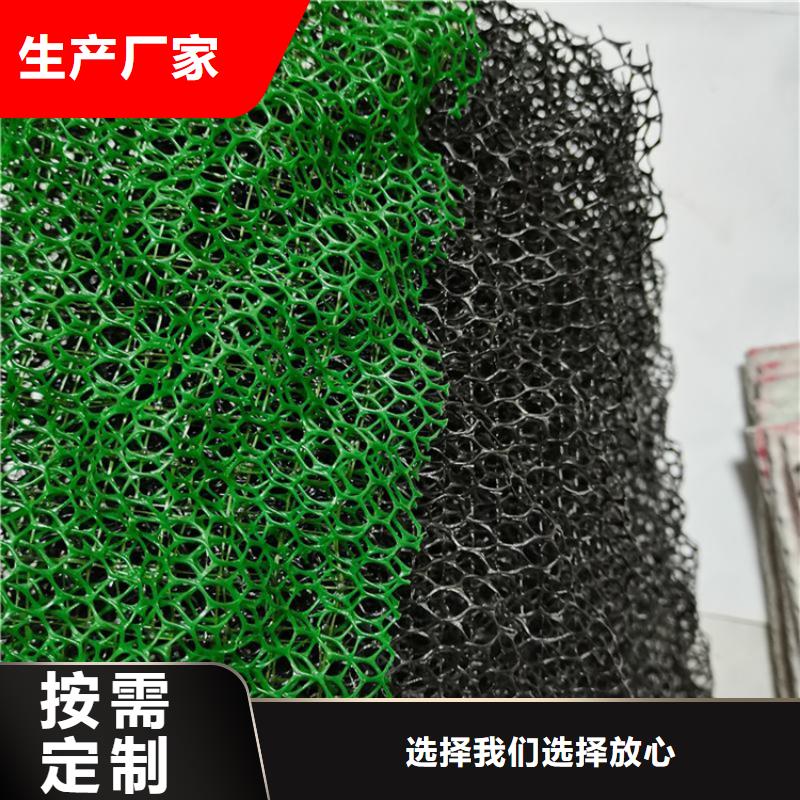 环保绿化三维植被网
