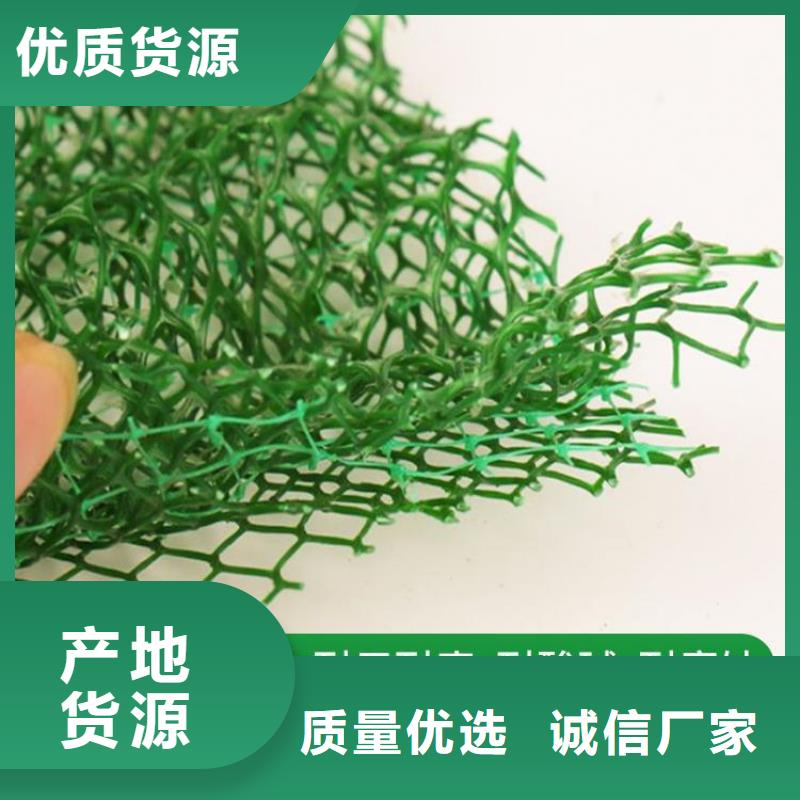 三维加筋土工网垫#环保塑料