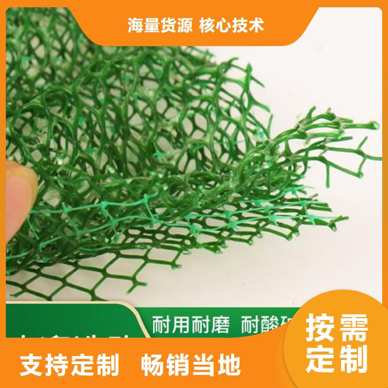 固土EM3三维护坡植被网垫