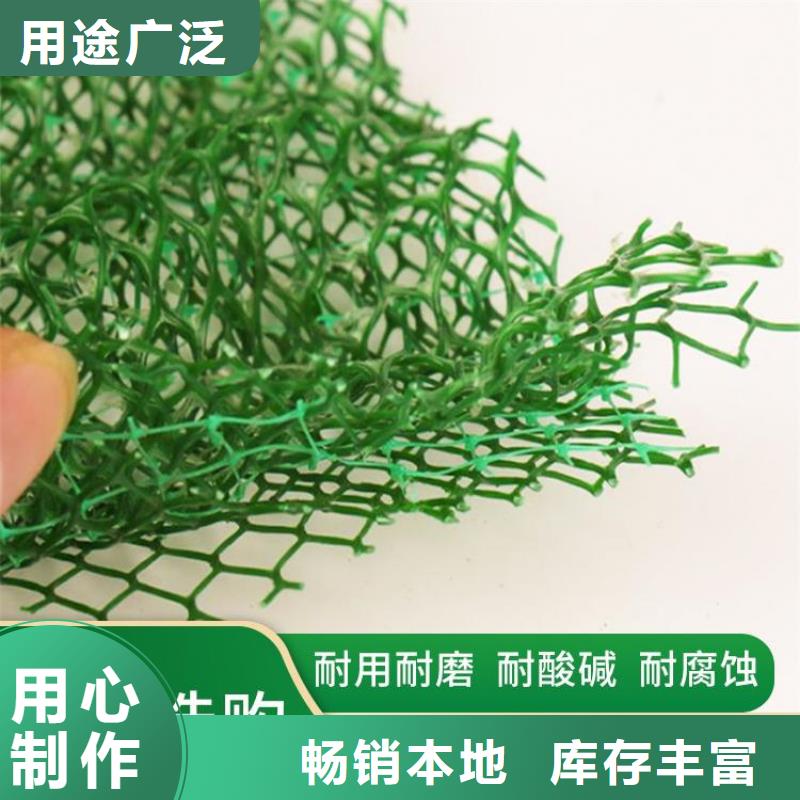 三维植被网_钢塑土工格栅一站式采购商家