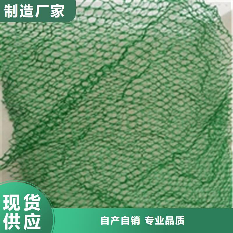护坡加筋网垫-绿色三维植被网环保领域施工