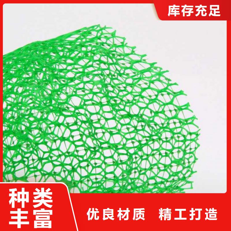 护坡加筋网垫-绿色三维植被网环保领域施工