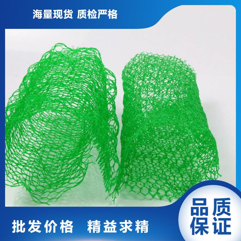 三维植被网特点厚度