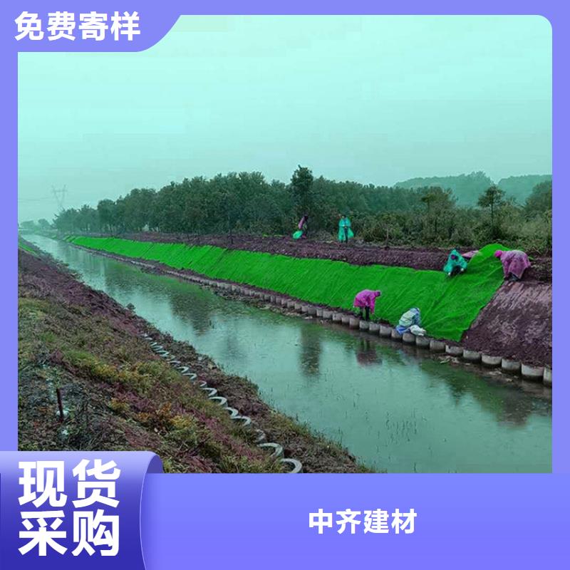 加筋塑料三维加筋土工网垫
