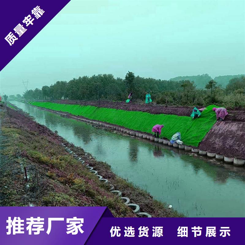 边坡护坡三维护坡植被网垫