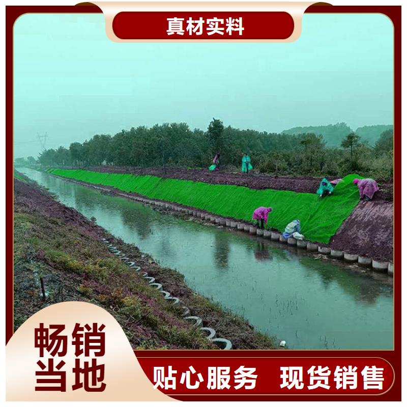 三维植被网型号特点