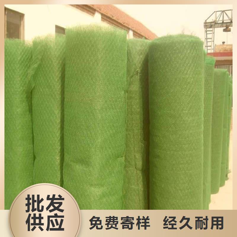 三维固土网垫规范施工