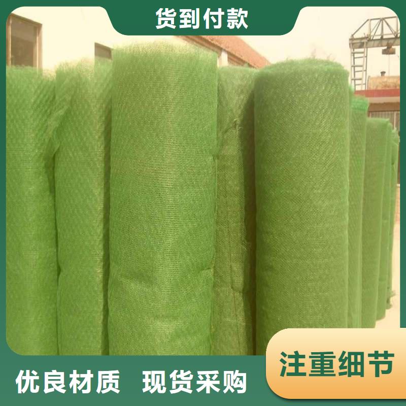 三维植被网土工网垫老客户钟爱