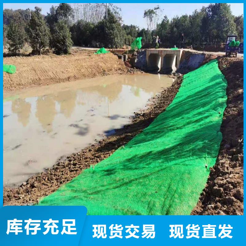 三维土工网垫代理/哪里有卖的