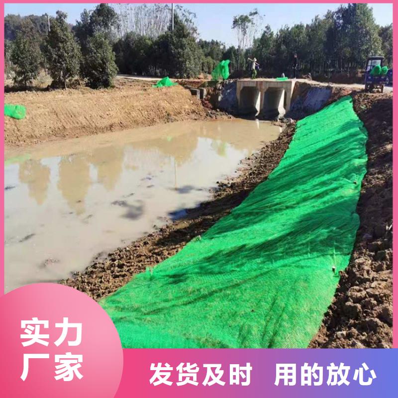 三维护坡植被网垫#护坡EM4