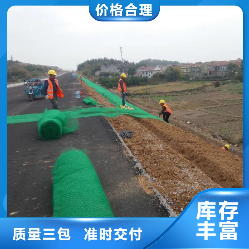 护坡加筋网垫-护坡三维土工网垫来厂考察