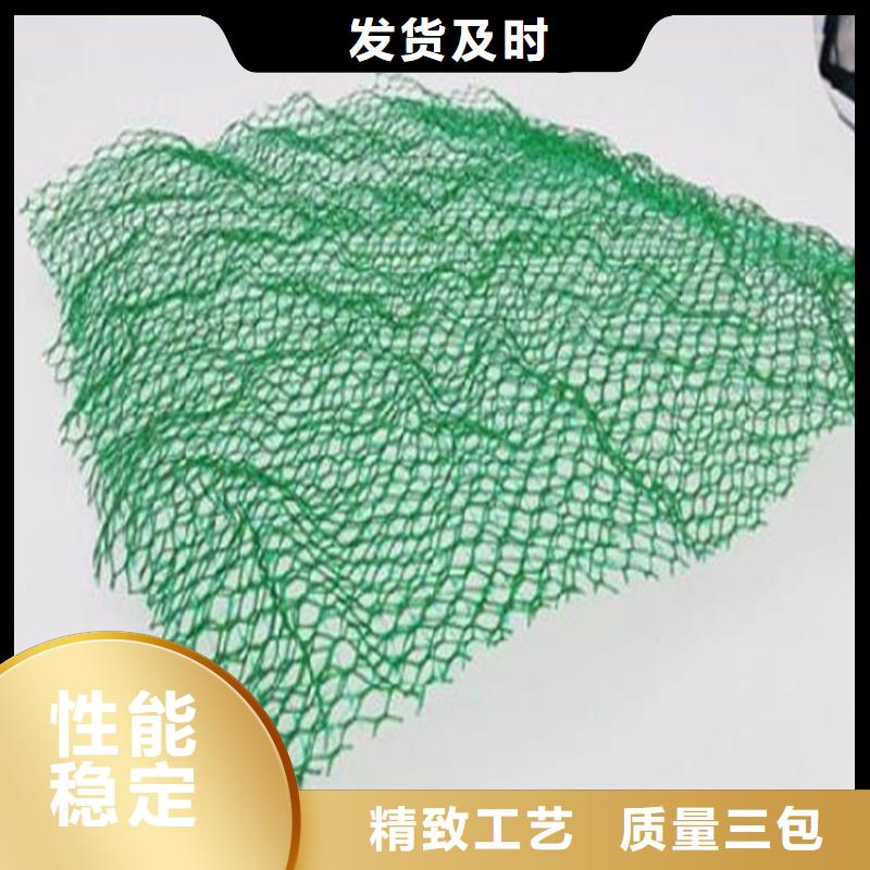 EM3边坡三维护坡加筋网垫