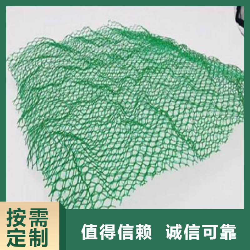 三维固土网垫#固土草皮