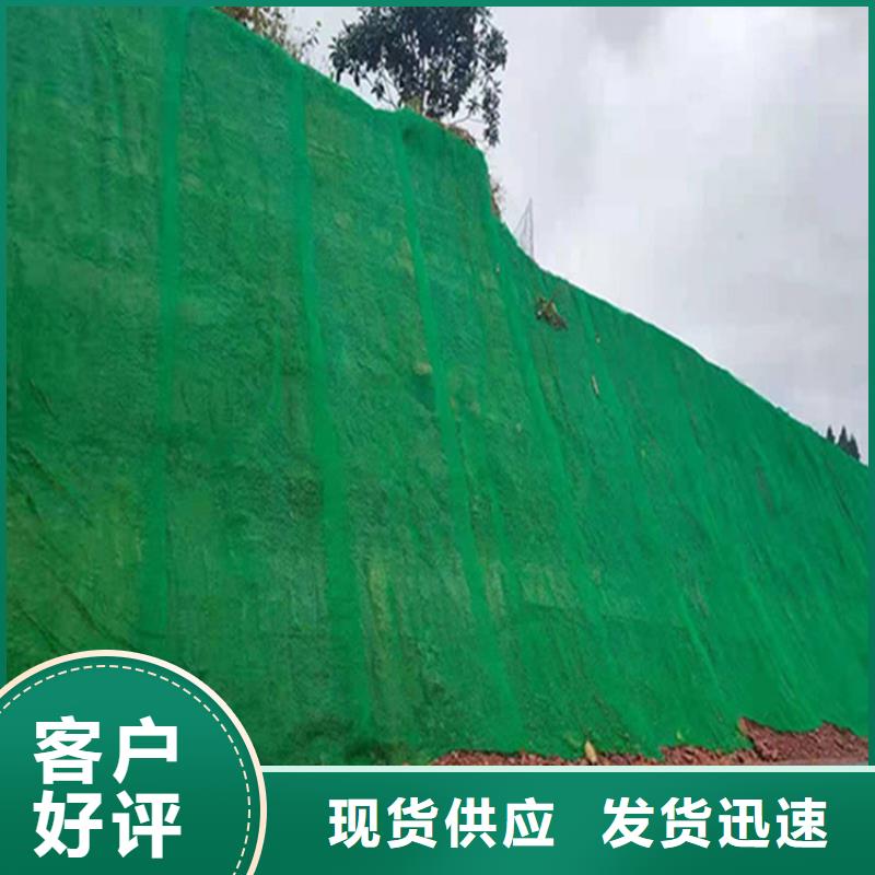 边坡护坡三维护坡加筋网垫