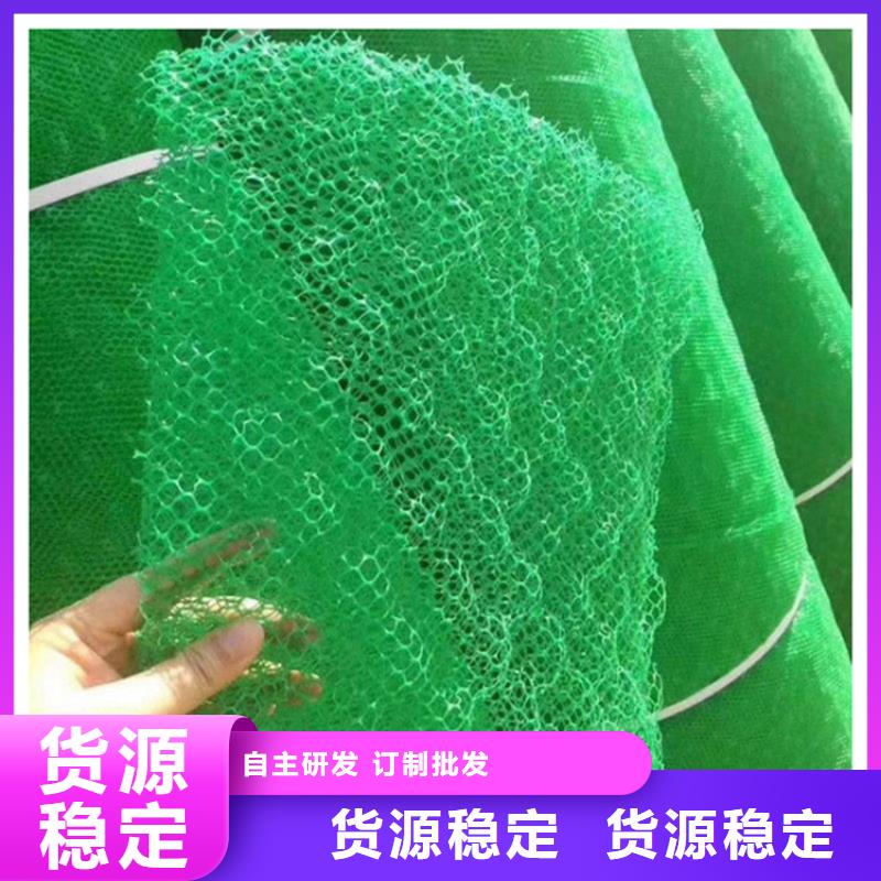 环保绿化三维植被网