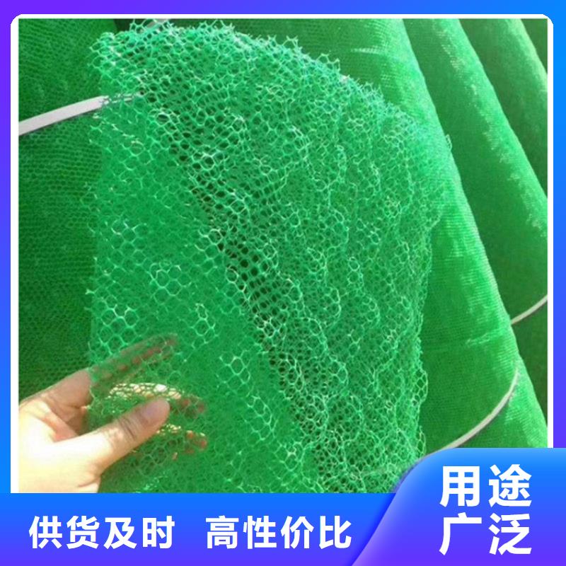 三维土工网垫代理/哪里有卖的