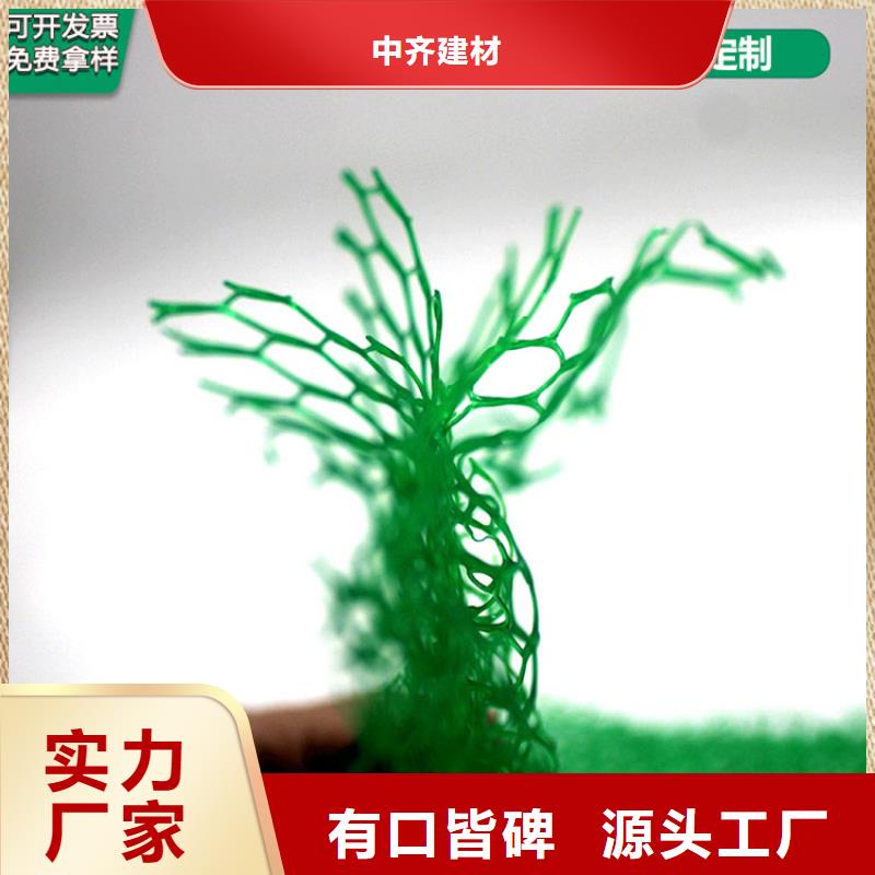 三维土工网垫-三维土工网
