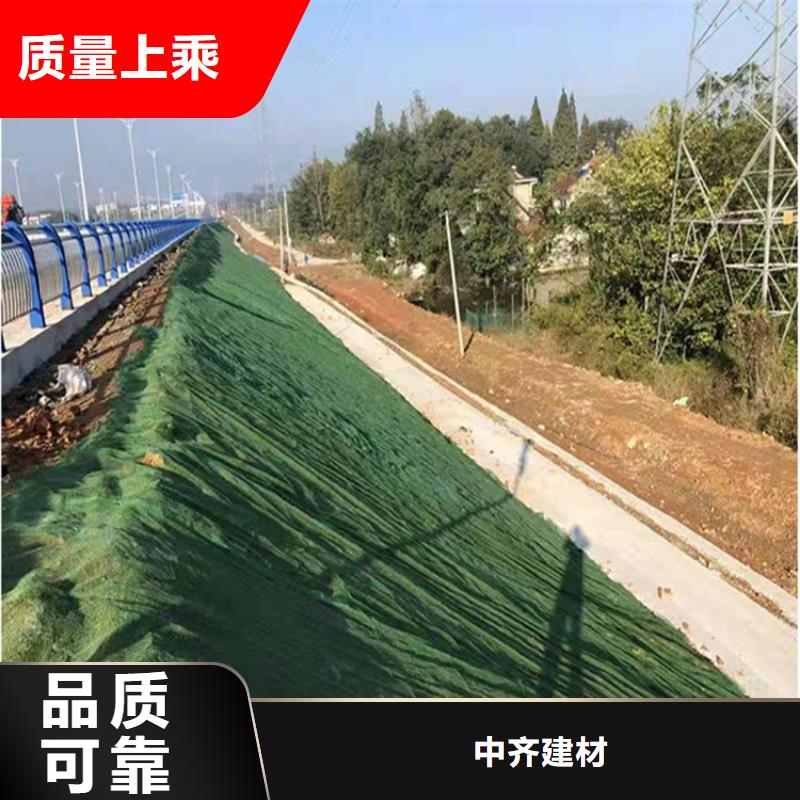 三维护坡加筋网垫批发-哪里有卖的