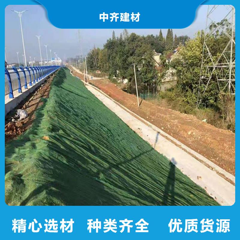 加筋草皮三维固土网垫