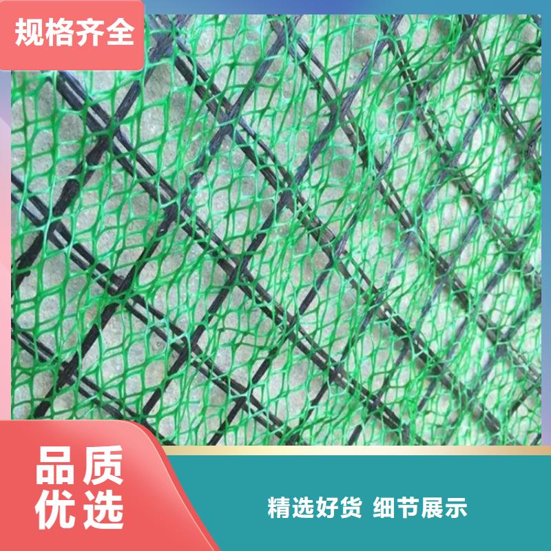 EM3边坡三维护坡加筋网垫
