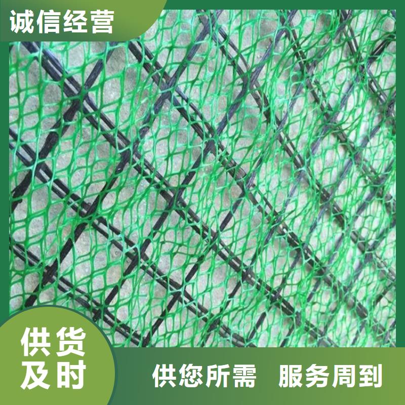 三维土工网垫代理/哪里有卖的