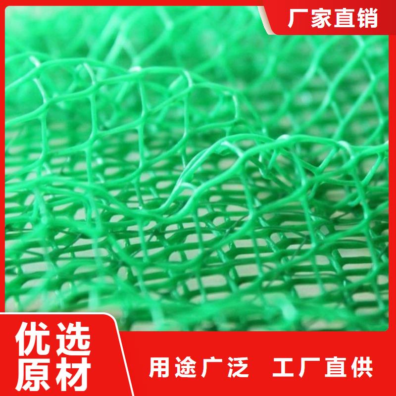 三维植被网塑料土工格栅货源直销