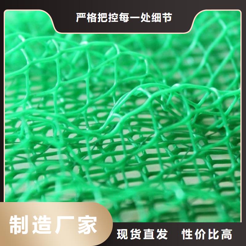 【三维植被网】双向土工格栅实力雄厚品质保障