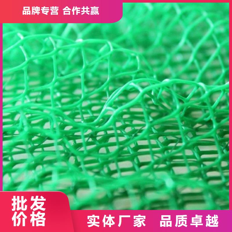 三维植被网本地代理