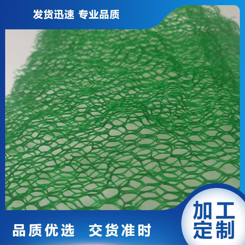 三维护坡加筋网垫#EM2固土