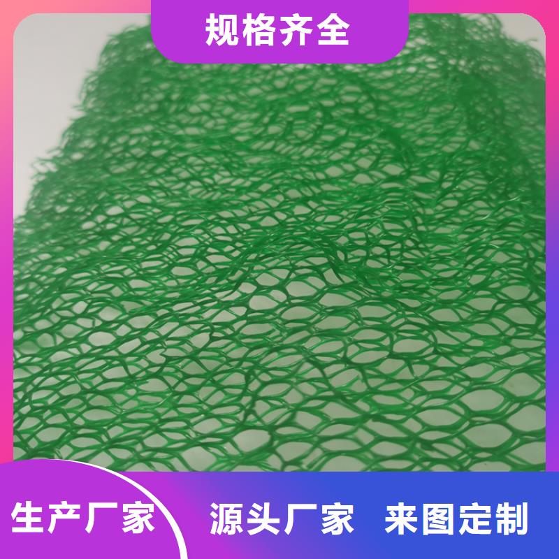 三维护坡植草网垫
