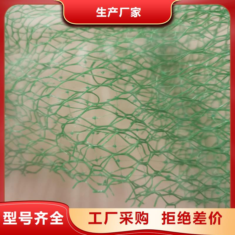三维加筋土工网垫施工团队