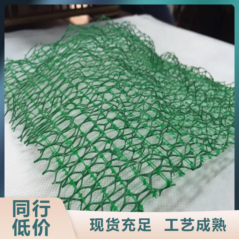 EM3塑料三维固土网垫