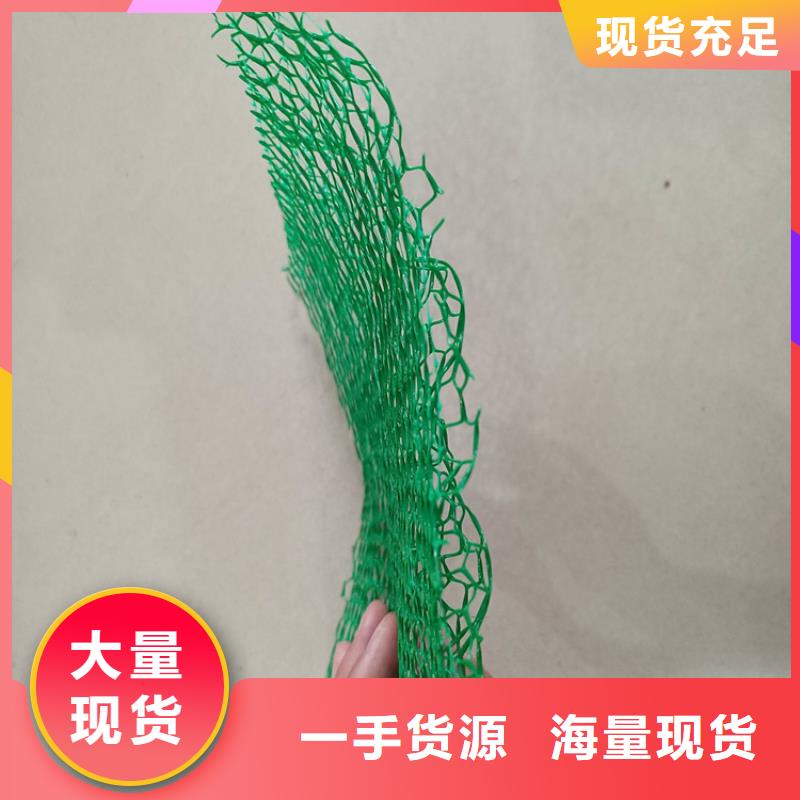 三维加筋土工网垫#绿化加筋