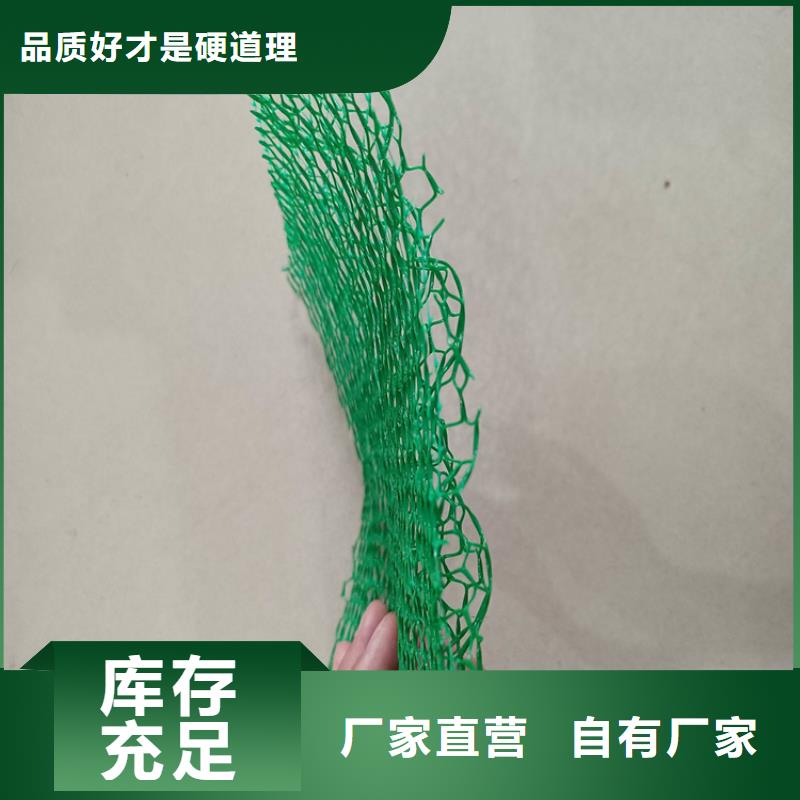三维土工网垫代理/哪里有卖的