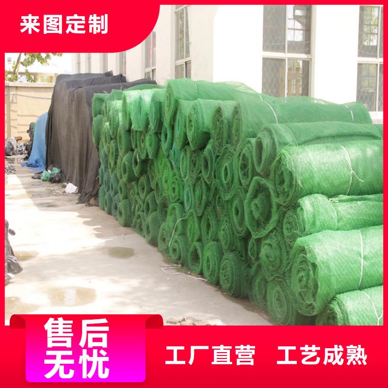三维护坡植草网垫厂家价格