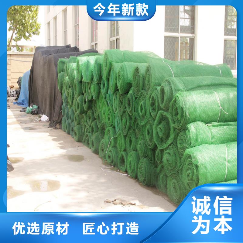 三维植被网土工格栅性价比高