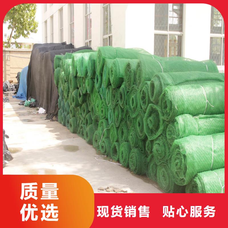 三维护坡加筋网垫批发-哪里有卖的