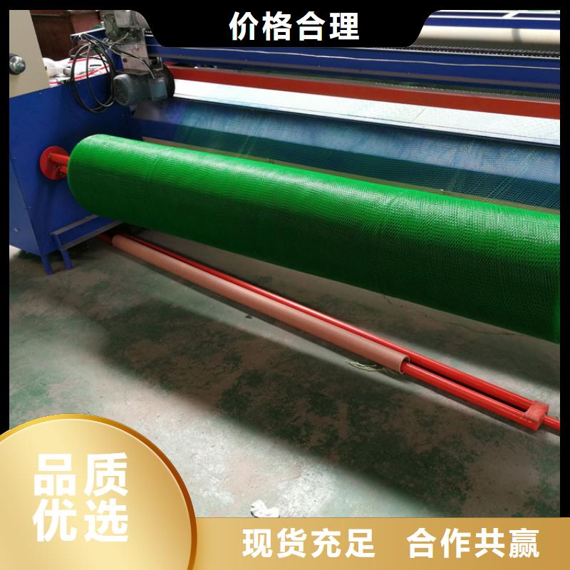 三维固土网垫规范施工