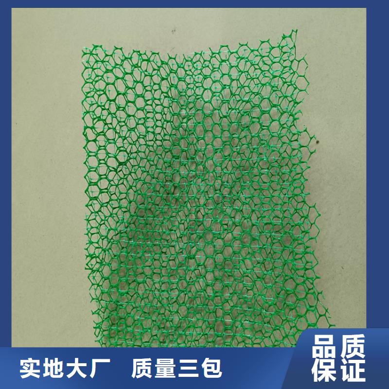 三维固土网垫-三维网植草护坡型号特点