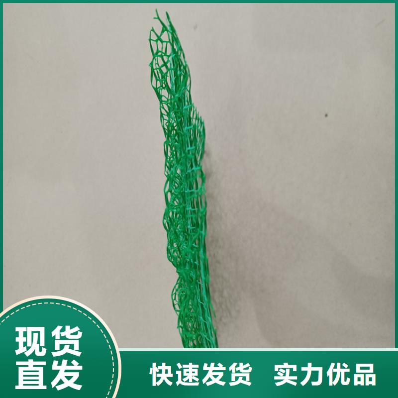 护坡加筋网垫-绿色三维植被网环保领域施工