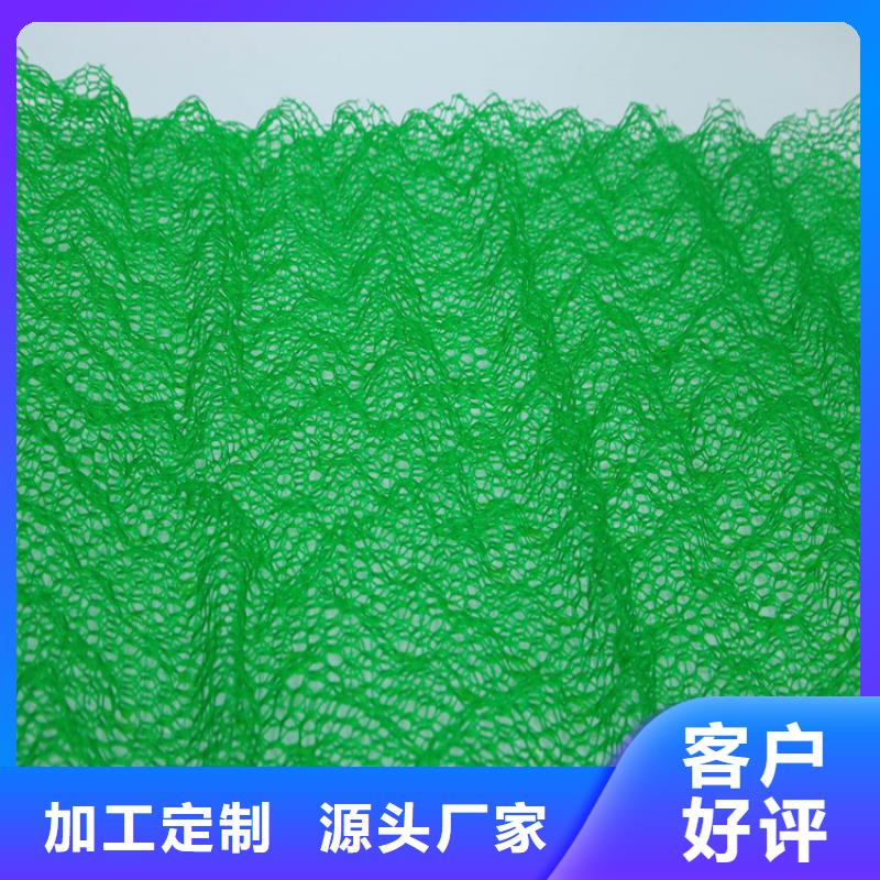 三维护坡加筋网垫#绿化塑料