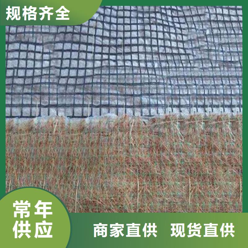 加筋抗冲生态毯现货直供